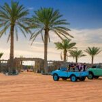 Heritage Desert Safari Private and Sharing - Why This Tour Works Well