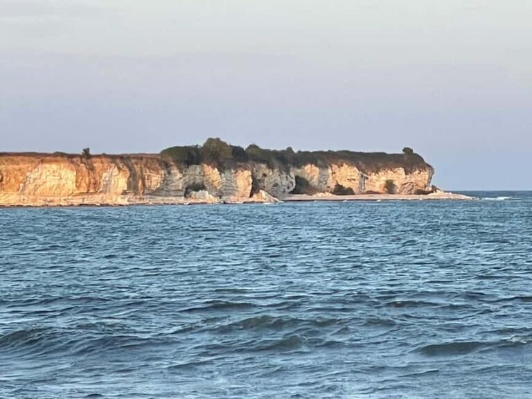Heritage Tour to Stevn Klint & Vikingborg Fort UNESCO Sites. - The Practical Side