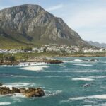 Hermanus Land based Whale Tour with Dave de Beer - Authentic Insights from Past Travelers