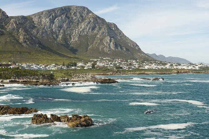 Hermanus Land based Whale Tour with Dave de Beer - Authentic Insights from Past Travelers