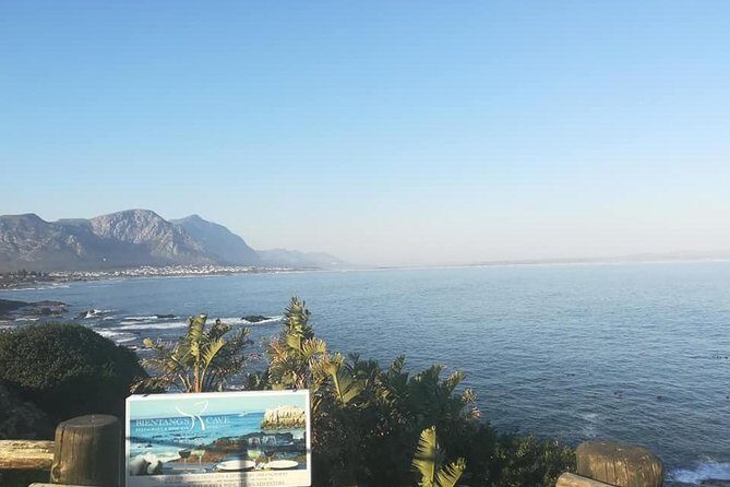 Hermanus Whale Coast Wine Tour (Cape To Grape Wine Tours) - Practical Details & Tips