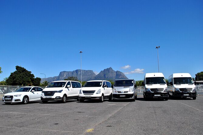 Hermanus Whales and Wine Full Day Private Tour - Betty’s Bay: A Coastal Drive with a Twist