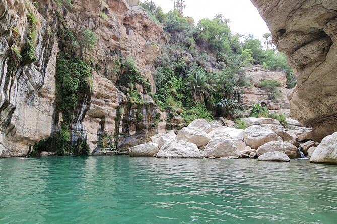 Hidden Gems of Oman: Sinkhole, Fins Beach & Wadi Tiwi Adventure - What to Expect from the Experience