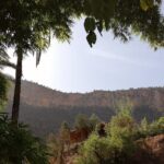 High Atlas Mountains And The Local old Market Private Day Tour - Genuine Value and Practical Considerations