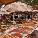 High Atlas Mountains and Three Valleys Day Trip from Marrakech - Who Should Consider This Tour?