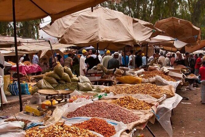 High Atlas Mountains and Three Valleys Day Trip from Marrakech - Who Should Consider This Tour?