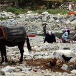 High Atlas Mountains Day Trip - Who Will Love This Tour?