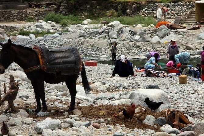 High Atlas Mountains Day Trip - Who Will Love This Tour?