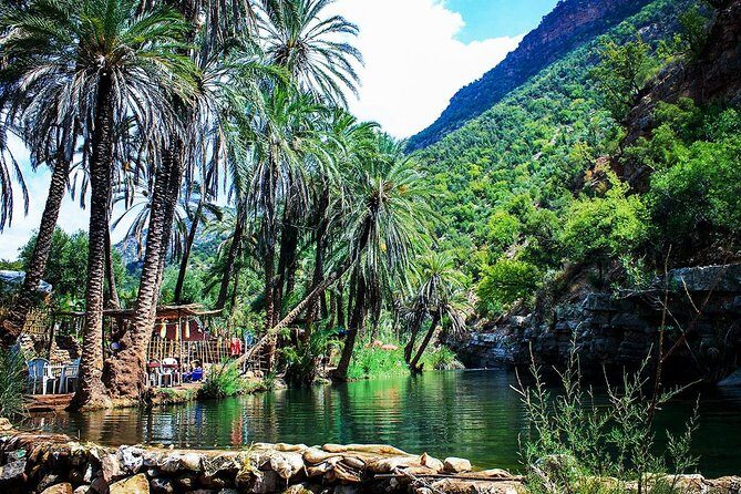 High Atlas Tour & Paradise Valley - Authentic Experiences and Insights from Reviews