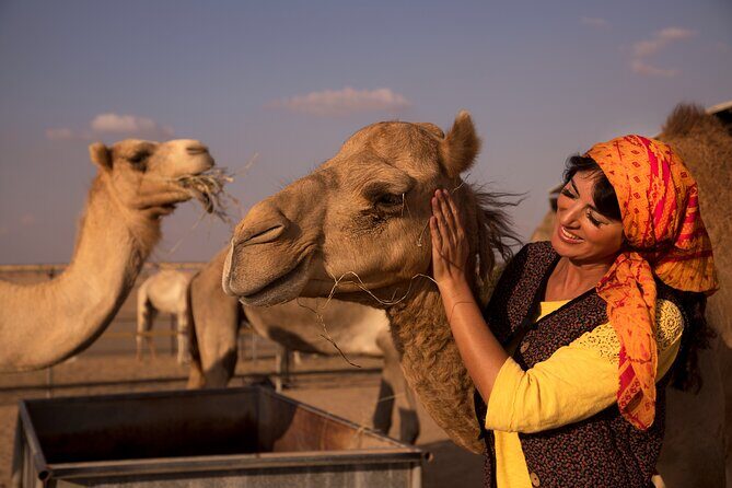 High Red Dunes with Camel Ride, Sandboarding, Falcon Show and VIP BBQ Dinner - What We Love About This Tour