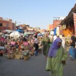 highlights marrakech and inside city tour 1/2 day + guide - The Highlights You’ll See
