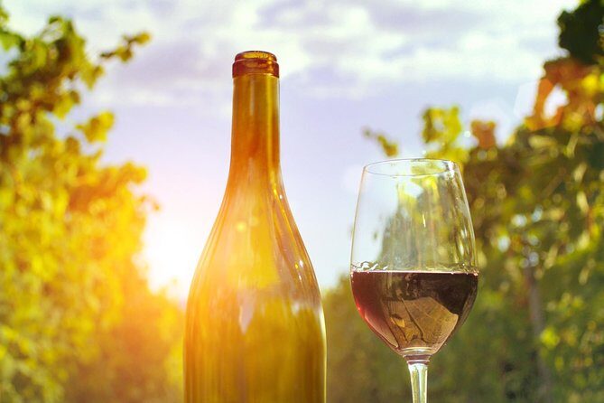 Highlights of Provence : food, wine and seaside in Cassis and Aix - What’s Included and What’s Not