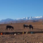 Hike & Overnight With Nomads Families - The Sunset & Overnight at Dades Gorges