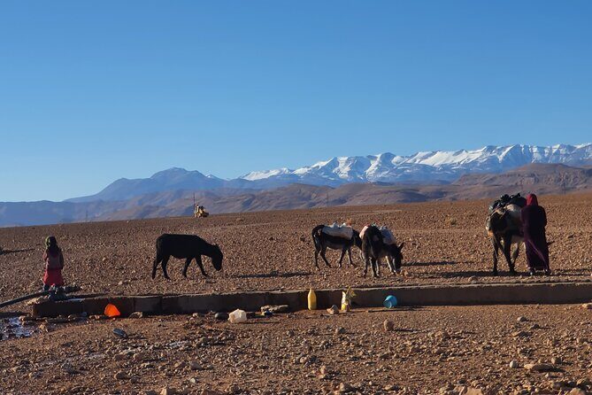 Hike & Overnight With Nomads Families - The Sunset & Overnight at Dades Gorges