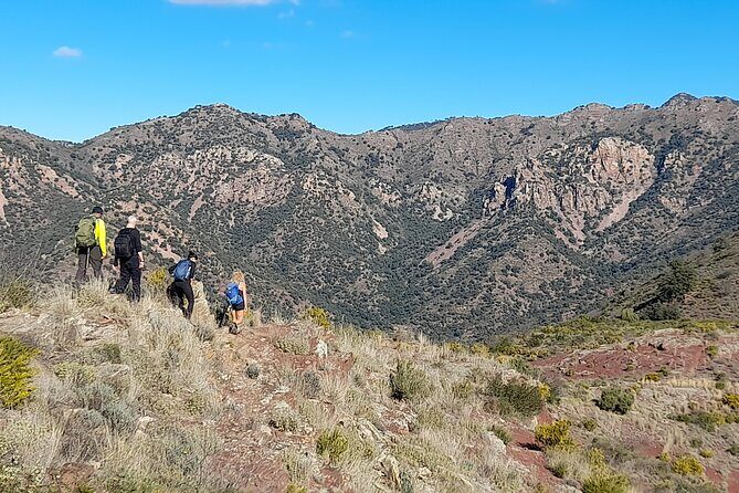 Hike the Cork Oak trail and try some Delicious Cheese - Food and Beverages