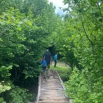 Hike to Valamaras Glacial Lakes with Pickup from Korça - The Tour Experience: What Sets It Apart?