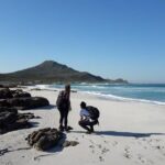 Hiking Cape of Good Hope & Cape Point Private Full Day Tour - The Experience of Transportation and Guides
