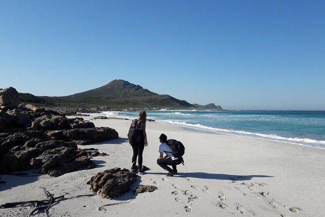 Hiking Cape of Good Hope & Cape Point Private Full Day Tour - The Experience of Transportation and Guides