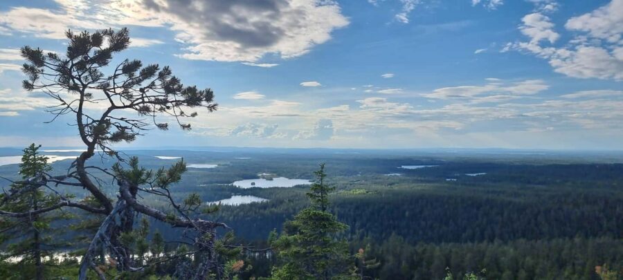Hiking in Riisitunturi National Park - Transportation and Convenience