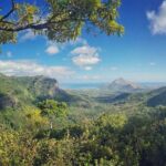 Hiking in the Black River Gorges National Parc - Native Forest - Terrain, Difficulty, and What to Expect