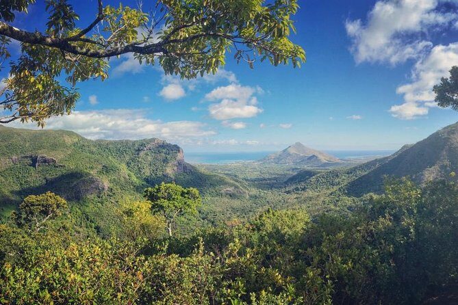 Hiking in the Black River Gorges National Parc - Native Forest - Terrain, Difficulty, and What to Expect