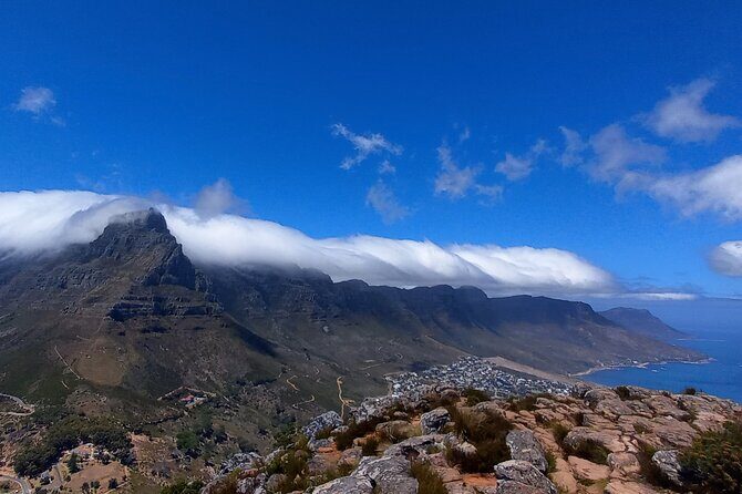 Hiking Lion's Head for Sunrise or Sunset - Who Should Book This Tour?
