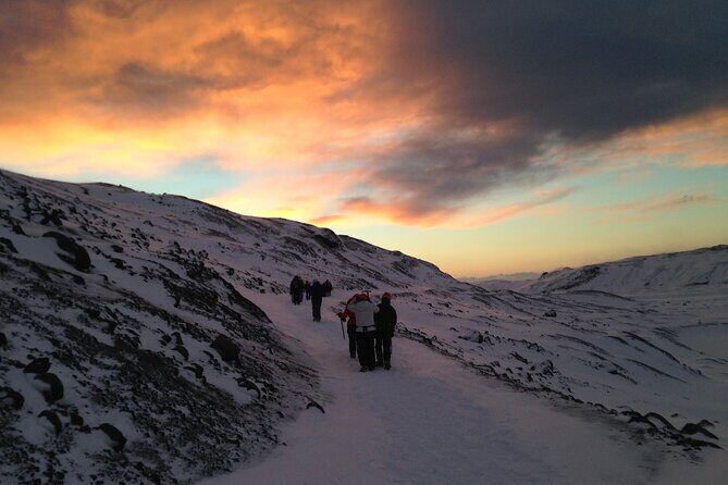 Hiking Mt Kilimanjaro 8 days, the most scenic route up Kili - What do travelers say about the guides and logistics?