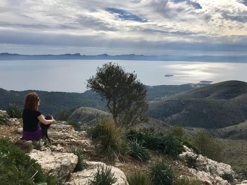Hiking on Alcúdia Peninsula - Discovering the Alcúdia Peninsula: An Authentic Walking Adventure