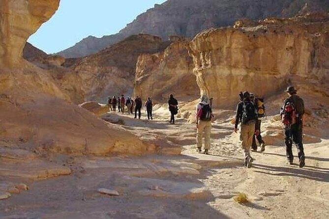 Hiking Sinai Mount desert camping & adventure trekking 7 days. - A Closer Look at the Itinerary and What You Can Expect