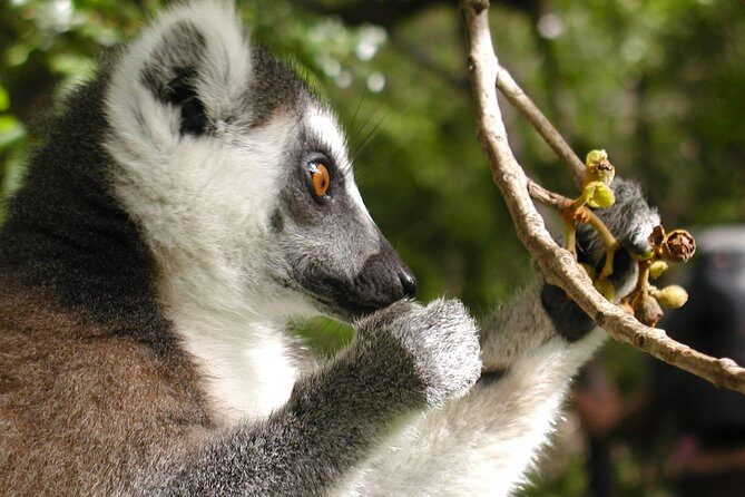 Hiking Tours Madagascar - What Makes This Tour Worth It?