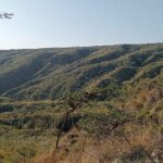 Hiking Trip to Mount Longonot National Park & Lake Naivasha - What Makes This Tour Stand Out?