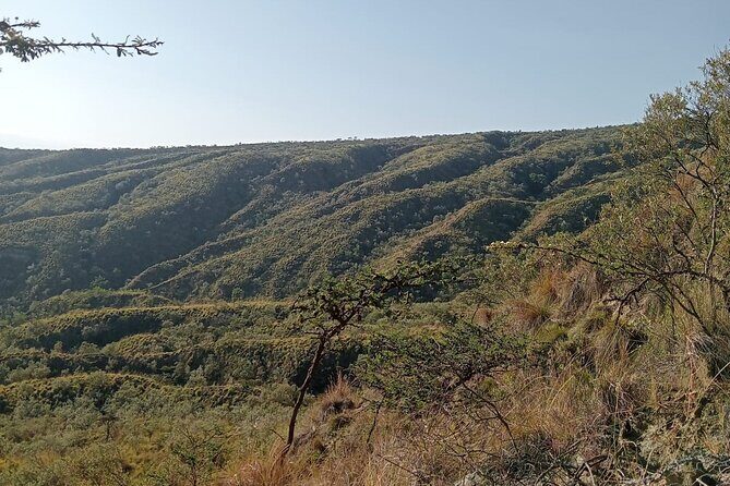 Hiking Trip to Mount Longonot National Park & Lake Naivasha - What Makes This Tour Stand Out?
