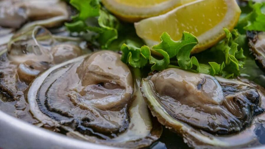 Historic Ston - A Half Day Tour With Oyster Tasting - The Salt Pans: An Iconic Landmark