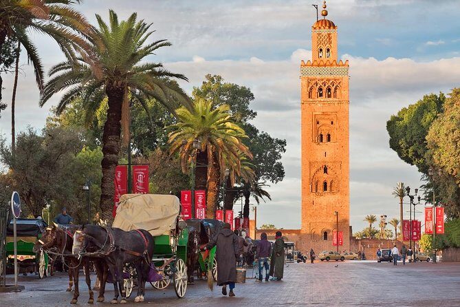 Historical and Cultural Private Tour of Marrakech - Why This Tour Offers Good Value