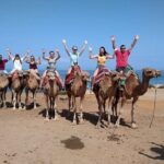 Historical and Cultural Tour of Tangier - Who Will Love This Tour?