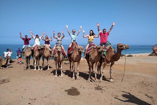 Historical and Cultural Tour of Tangier - Who Will Love This Tour?
