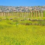 Histroy Tour in Jerash Ruins and Ajloun Castle - Scenic Journey & Local Cuisine