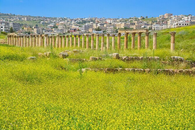 Histroy Tour in Jerash Ruins and Ajloun Castle - Scenic Journey & Local Cuisine