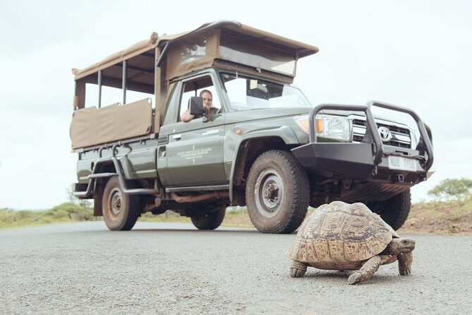Hluhluwe Game Drive - Half day - Why Choose This Tour?