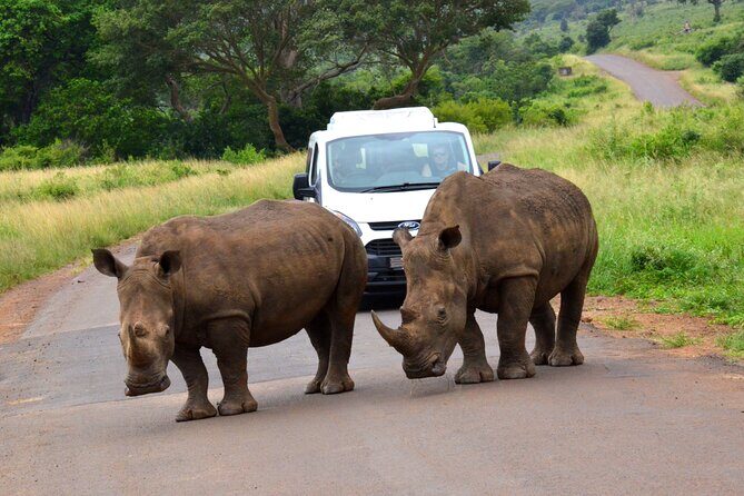 Hluhluwe Imfolozi & DumaZulu Cultural Village Tour from Durban - A Closer Look at the Itinerary