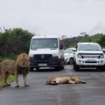 Hluhluwe Imfolozi Park And Isimangaliso Wetlands Park .st Lucia - FAQ