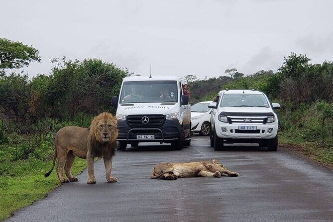 Hluhluwe Imfolozi Park And Isimangaliso Wetlands Park .st Lucia - FAQ