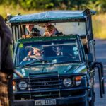 Hluhluwe-Imfolozi Park Full Day Big 5 Safari Tour - Thorough Itinerary Breakdown