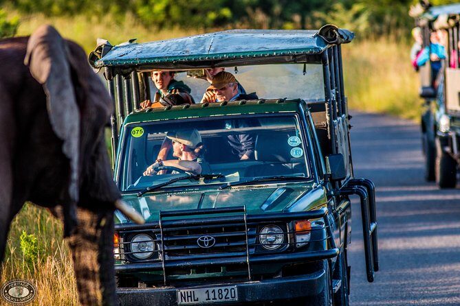 Hluhluwe-Imfolozi Park Full Day Big 5 Safari Tour - Thorough Itinerary Breakdown