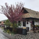 Hollók, the rural Heritage, Day Tour from Budapest - Who Would Enjoy This Tour?