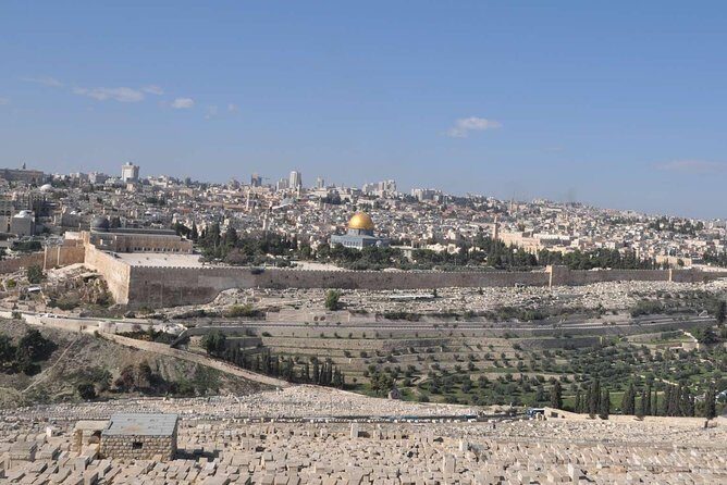 Holy Jerusalem Private Tour - The Experience in Practice: Insights from Reviews