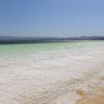 Horn of Africa combined Tour: Somalia - Somaliland - Djibouti - What Travelers Are Saying: Authentic Insights