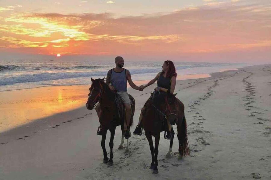 Horse, Camel, and Donkey Riding Experience at the Farm in the Antalya Region - Why This Tour Offers Great Value