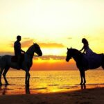 Horse & Camel Riding Experience in Hurghada - What to Expect from the Horse & Camel Riding Tour in Hurghada