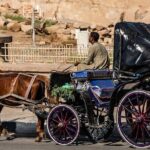Horse Carriage City Tour in Luxor city with meal and soft drink - Why This Tour Offers Great Value